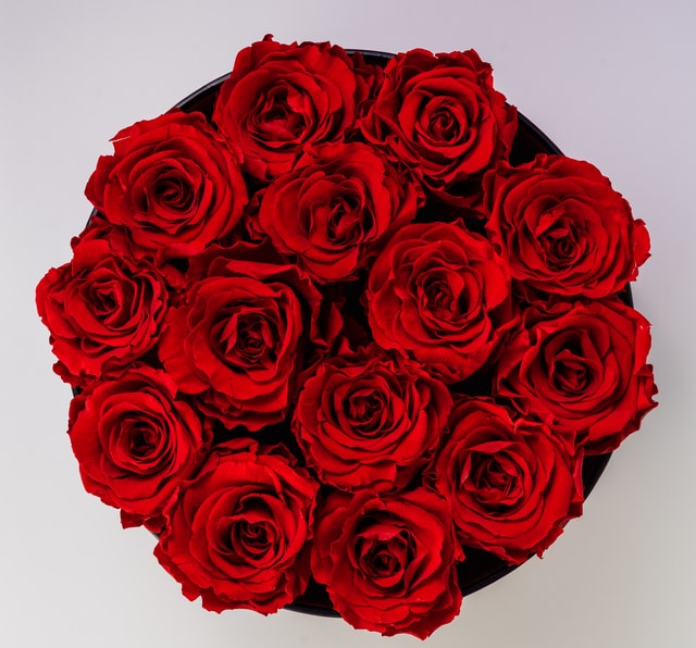 roses