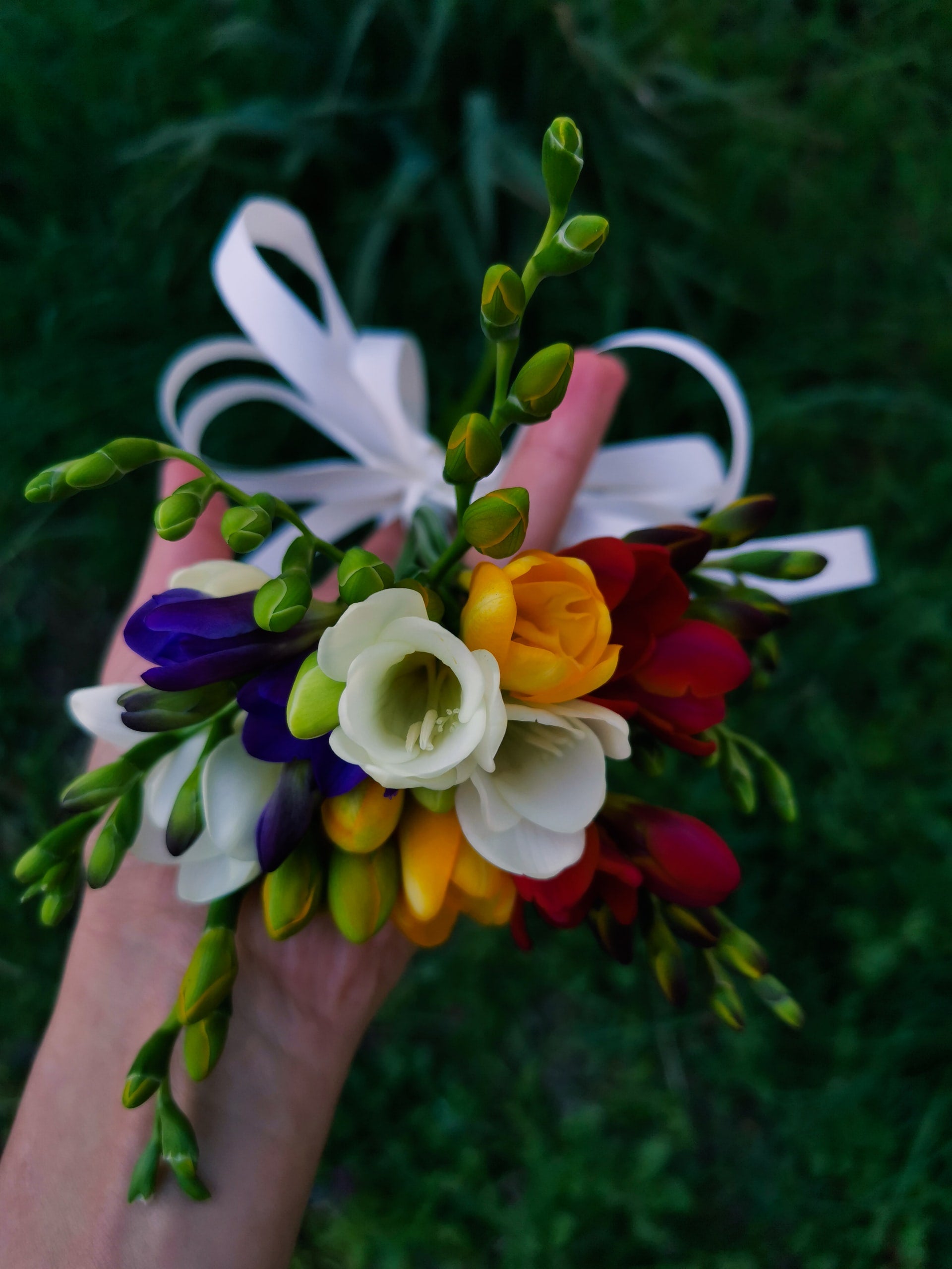 freesias