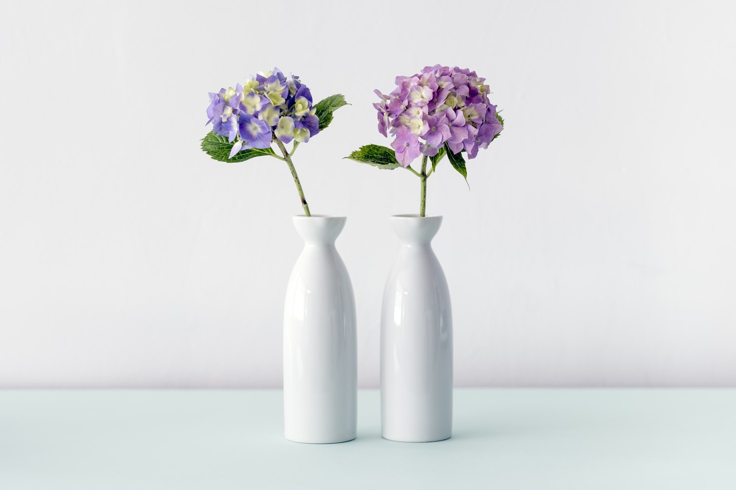 hydrangea vases
