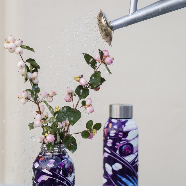 watering flowers