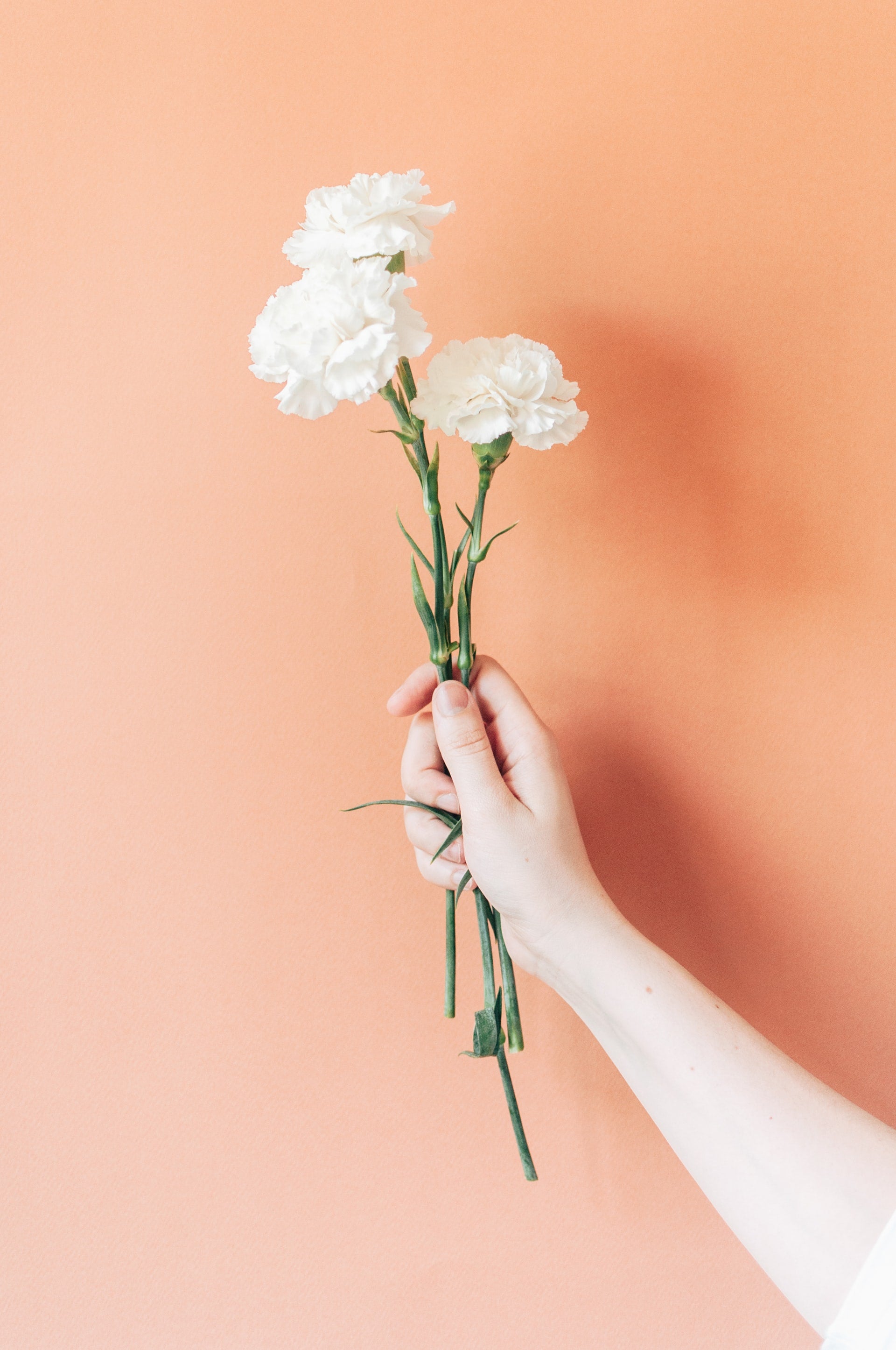woman holding carnations