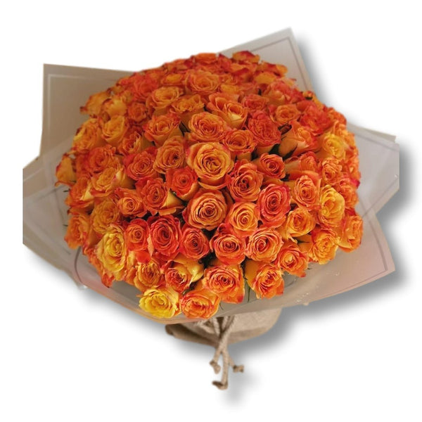101 Luxury Coral Peach Roses - Upscale and Posh - Same Day Flower Delivery Dubai