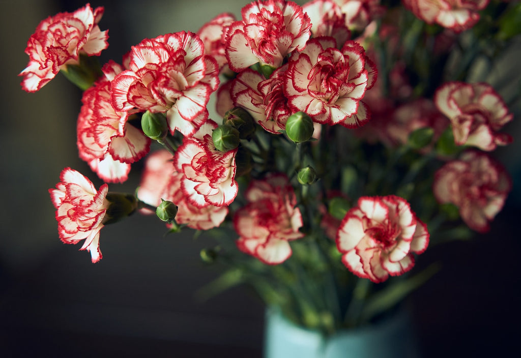 Choosing Flowers to Send Sympathy for a Grieving Loved One