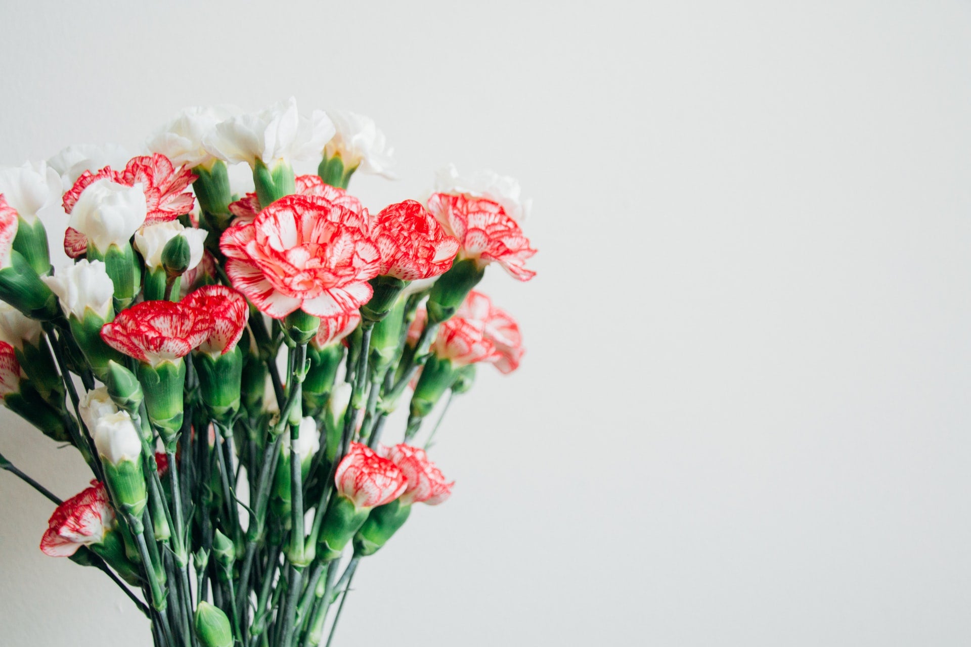 bouquet of red and white flowers