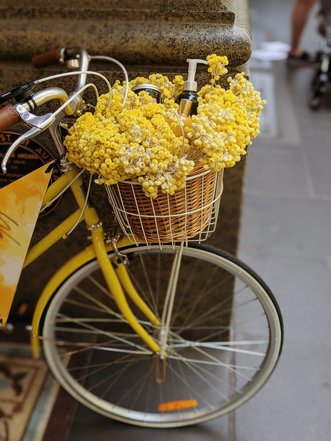 flowers