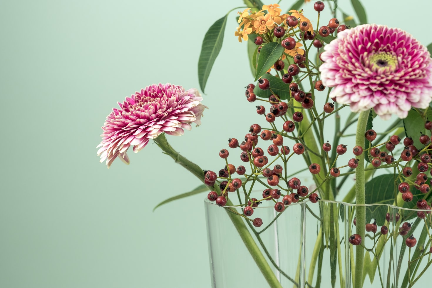 flowers in vase