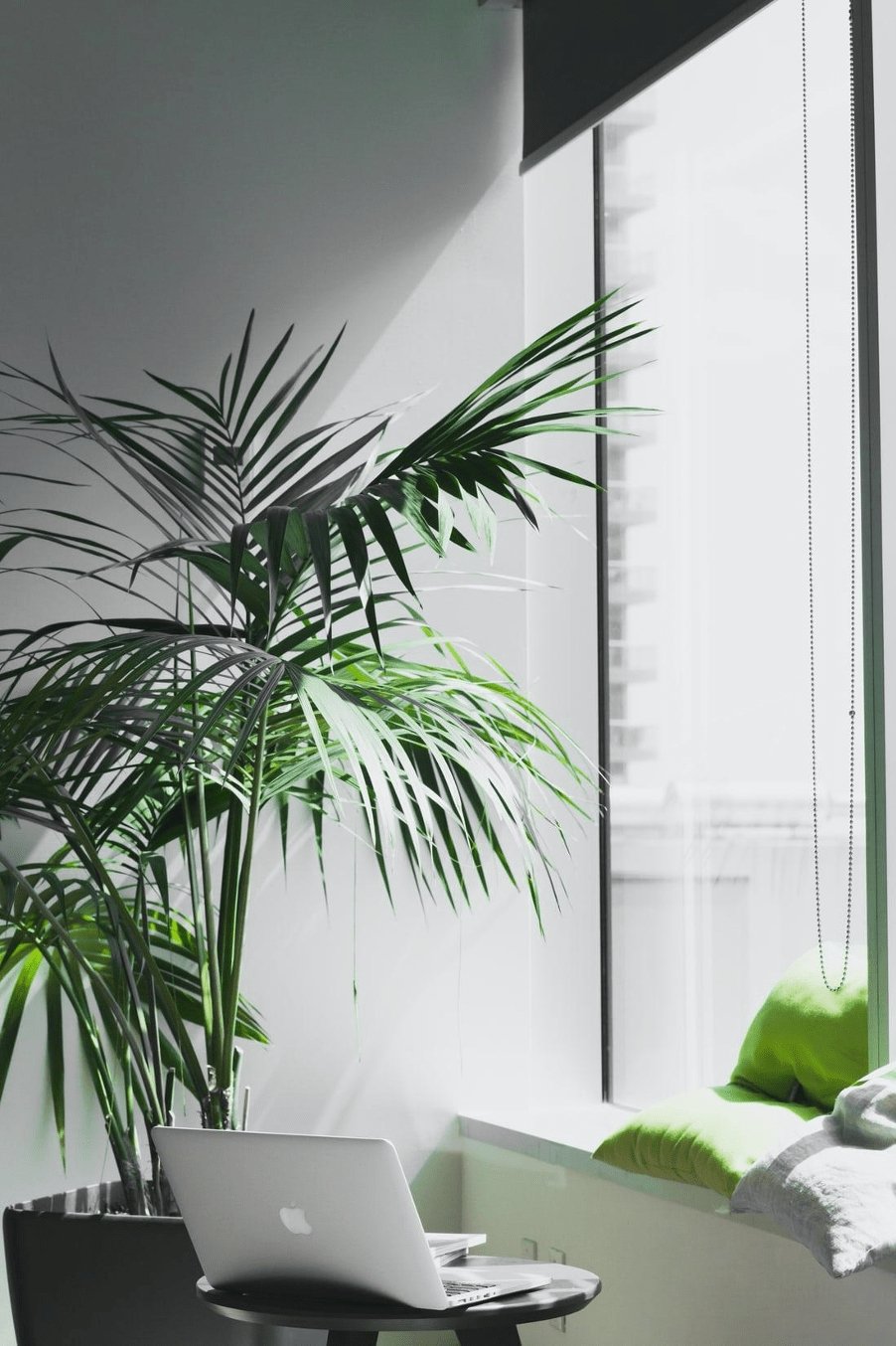 How To Create The Perfect Working Environment With A Little Help From Mother Nature | Upscale and Posh