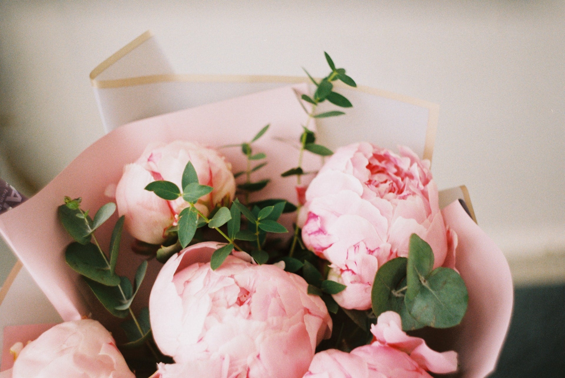 peonies