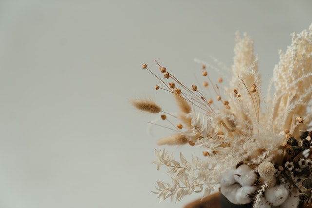 dried flowers