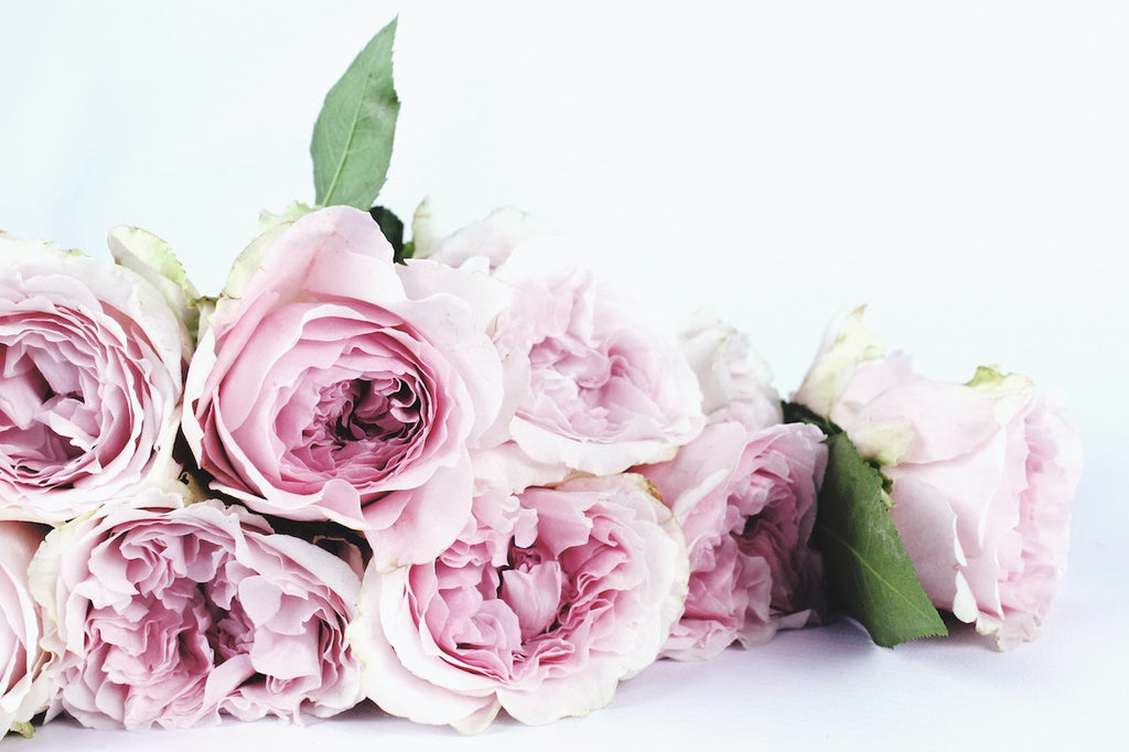 Perfectly Pink: Why Pink Roses Are the Perfect Gift