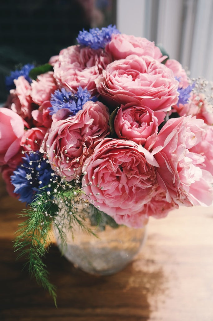 pink roses