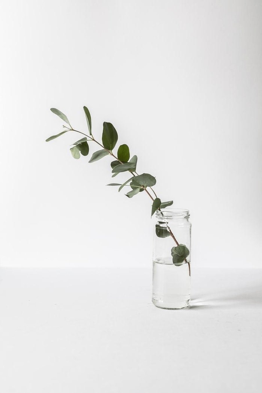 Scandi-Design For Spring: Plants, Flowers, Light and Space | Upscale and Posh
