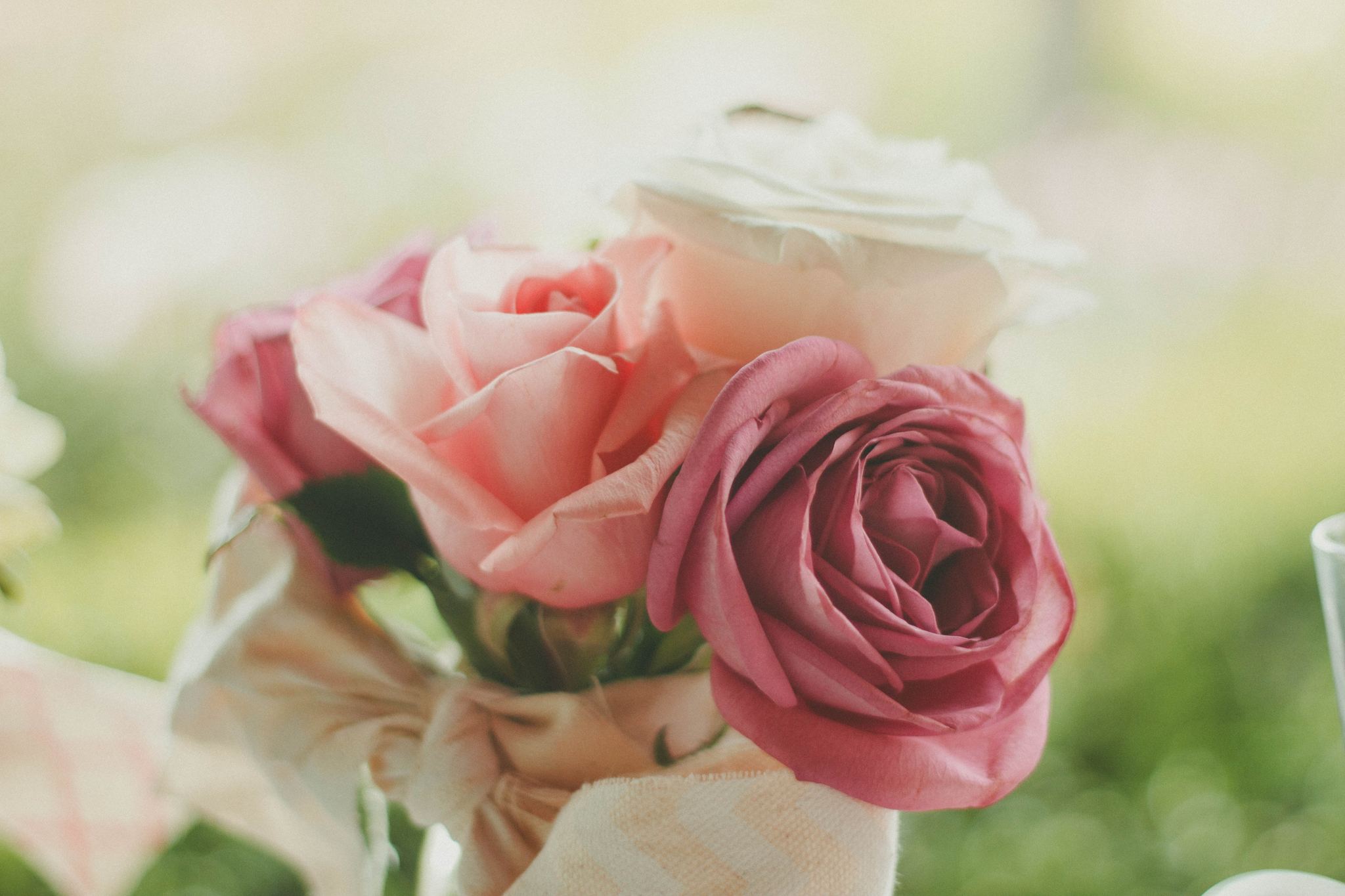 pink roses background